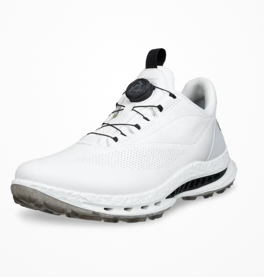 Ecco Men's Biom C5 BOA GTX | The Golf Shop at Cutten Fields