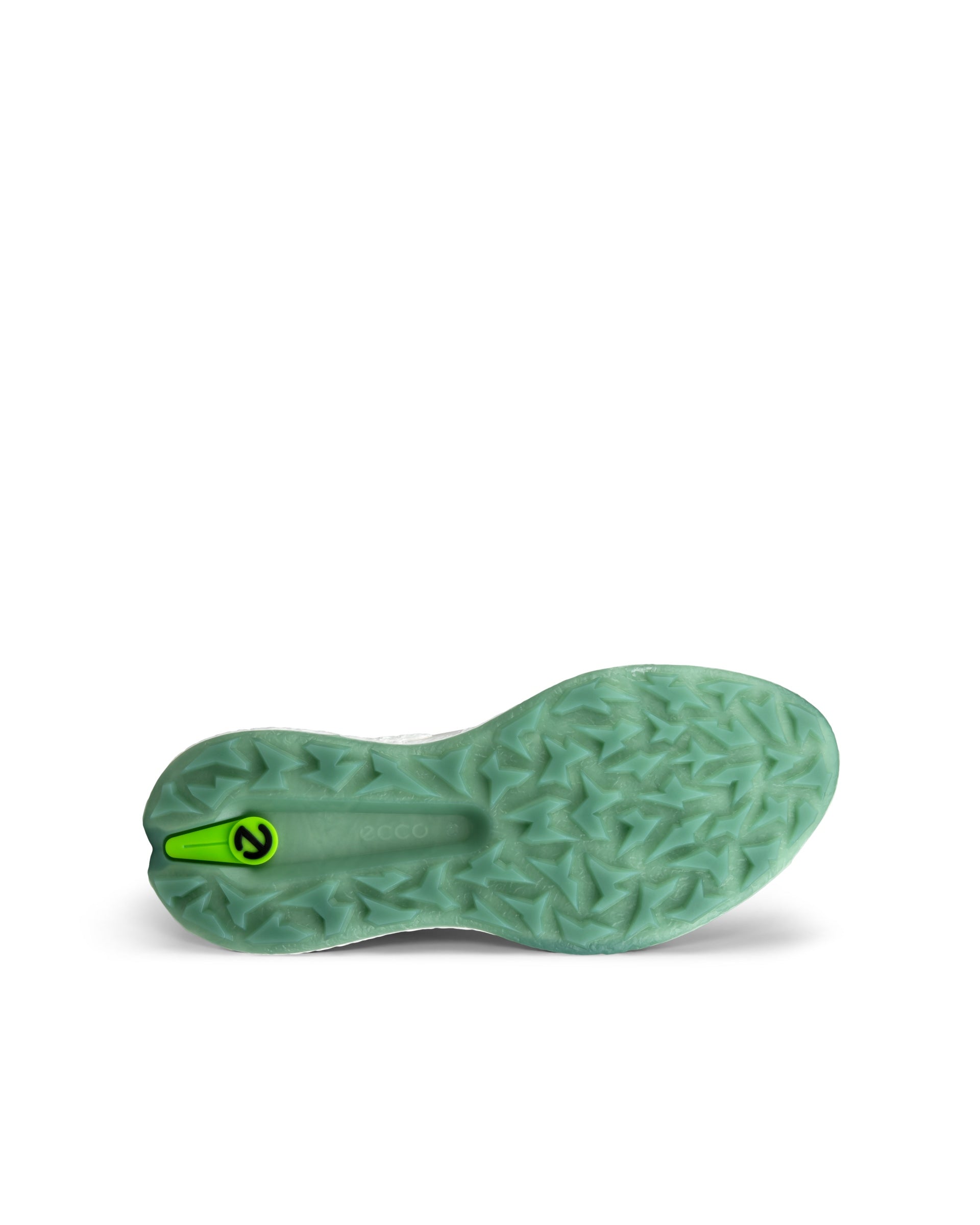 Ecco Men's Biom H5 Boa Shoe | The Golf Shop at Cutten Fields