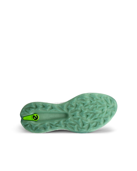 Ecco Men's Biom H5 Boa Shoe