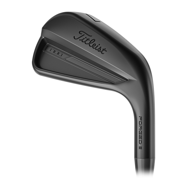 Titleist T100 Black Irons