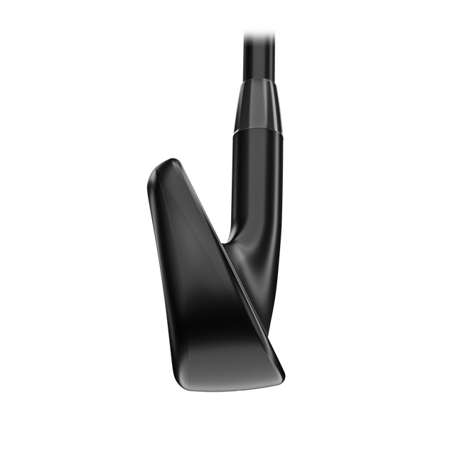 Titleist T350 Black Irons
