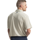 FootJoy Pinstripe Pop Stripe Lisle-2