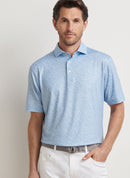 Peter Millar Day of the Dead Performance Jersey Polo-1