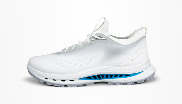 Ecco Men's Biom C5 Lace GTX