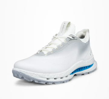 Ecco Men's Biom C5 Lace GTX