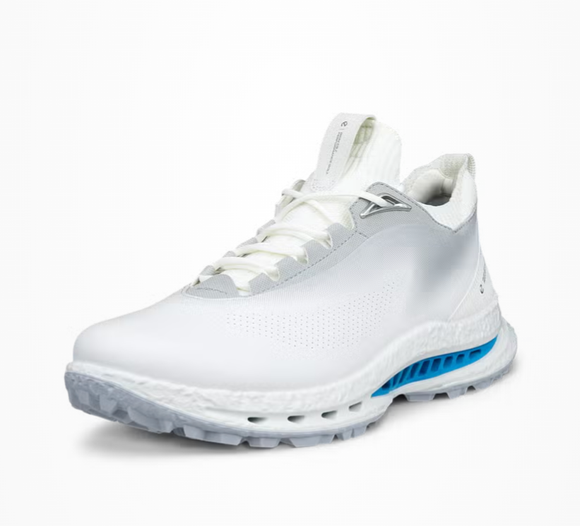 Ecco Men's Biom C5 Lace GTX