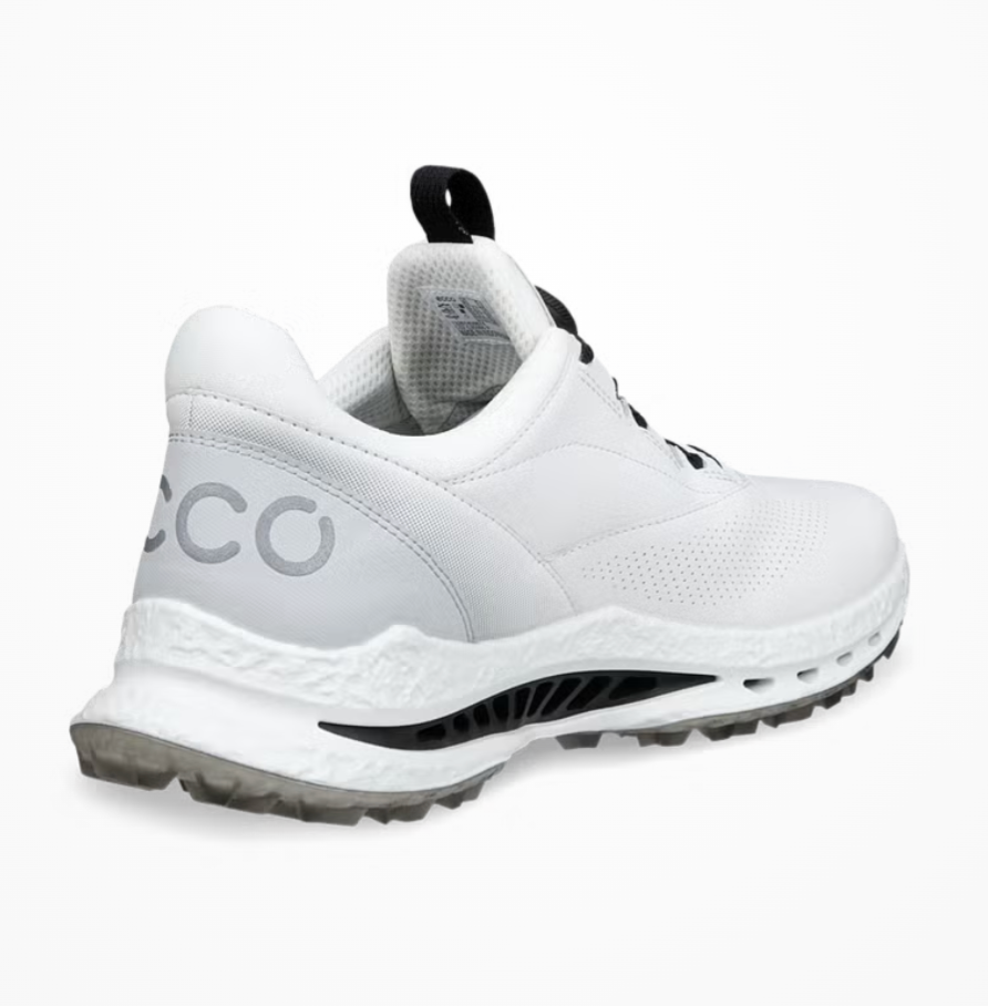 Ecco Men's Biom C5 BOA GTX | The Golf Shop at Cutten Fields