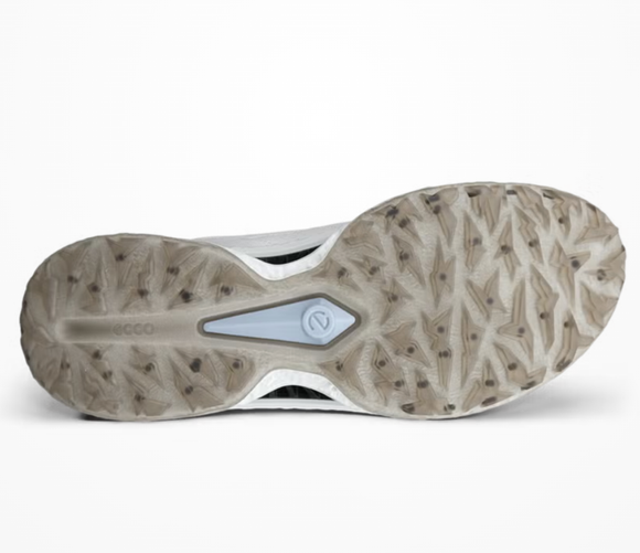 Ecco Men's Biom C5 BOA GTX