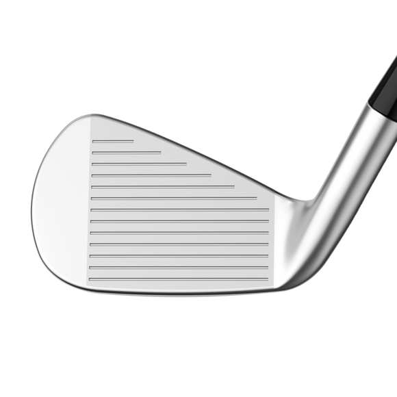 Callaway Apex Pro 24 Irons
