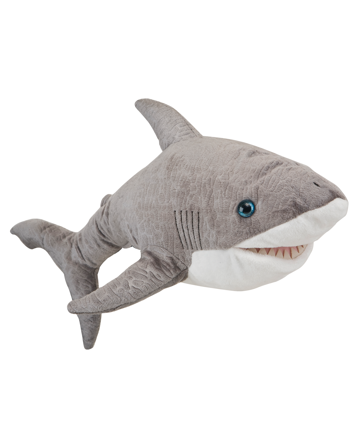 Daphne's Shark Headcover